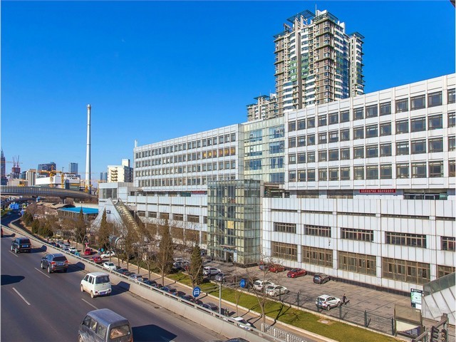 大足早熟五月脆价格